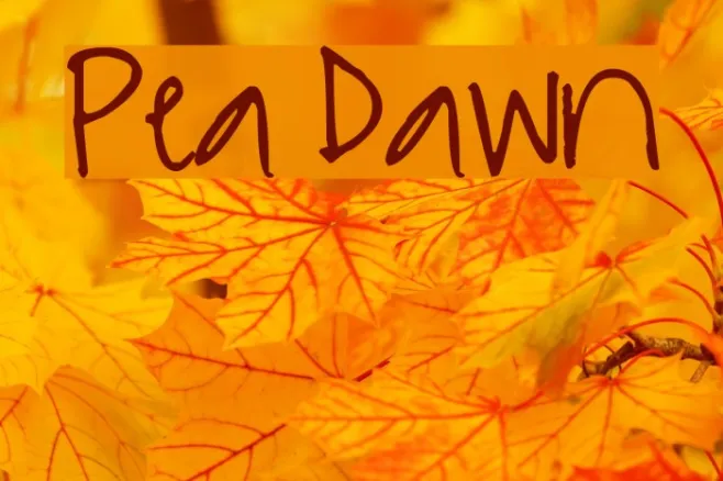Pea Dawn Example 2