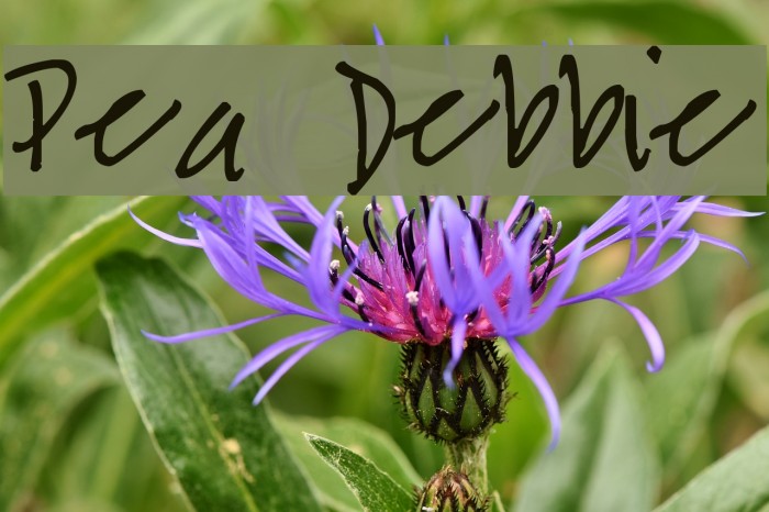 Pea Debbie Example 2