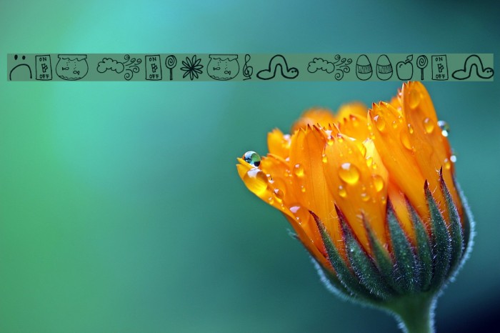 Pea Deliah's Doodles Font examples