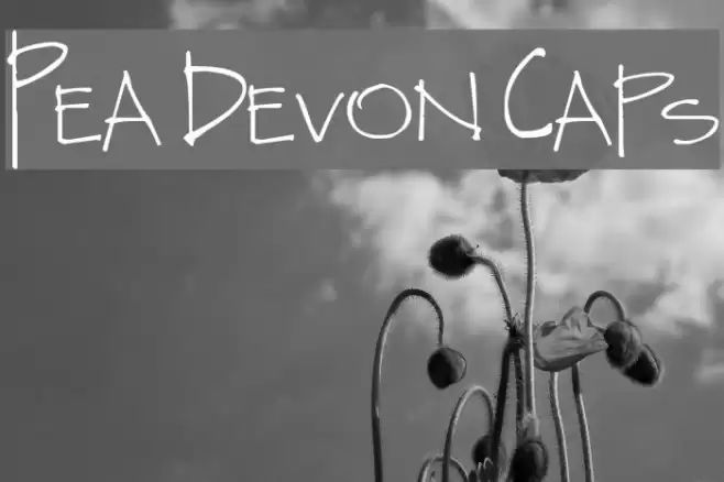 Pea Devon Caps Font examples