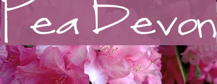 Pea Devon Font examples