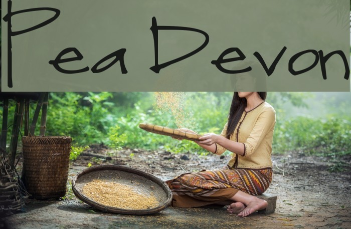 Pea Devon Font examples