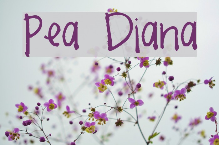 Pea Diana Font examples