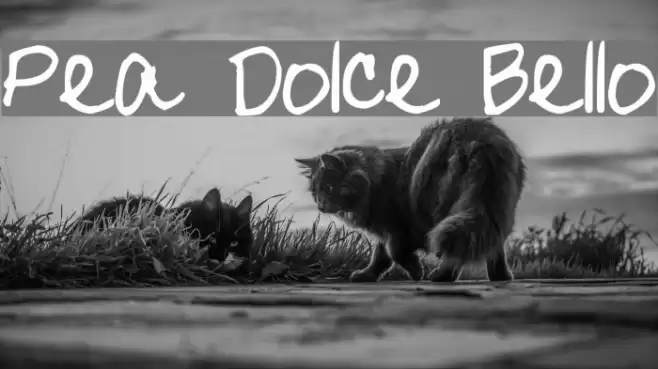 Pea Dolce Bello Font examples