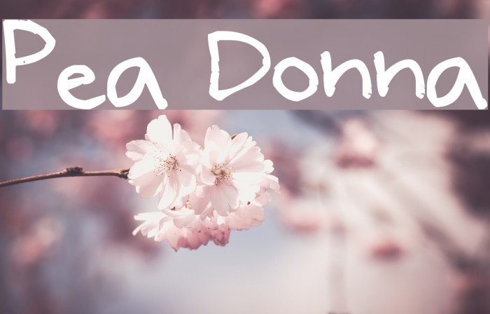Pea Donna Font examples