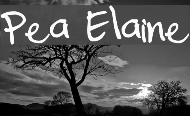 Pea Elaine Font examples