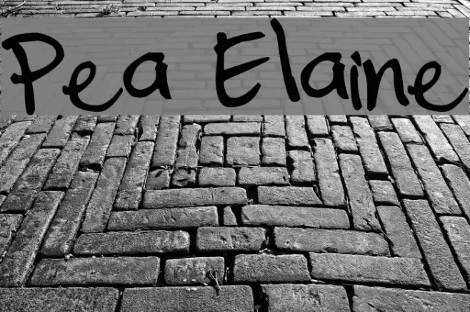Pea Elaine Font examples