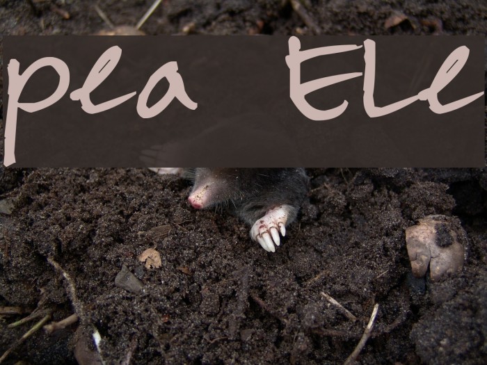 Pea Ele Font examples