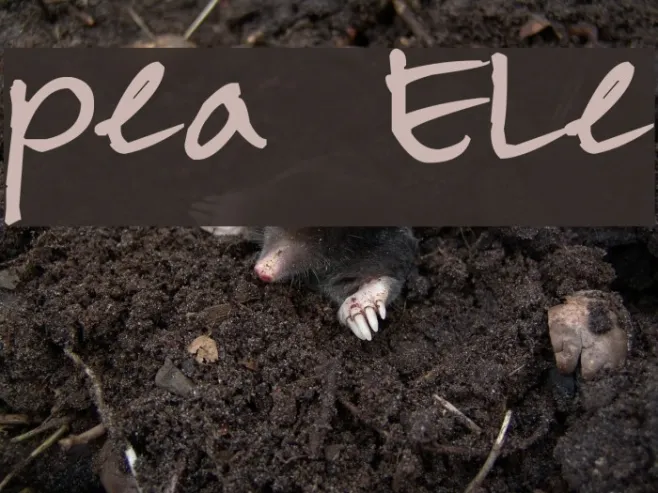 Pea Ele Example 1