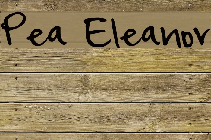 Pea Eleanor Font examples