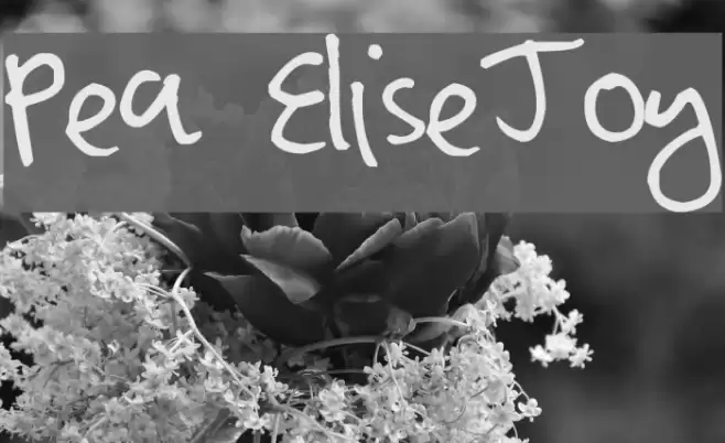 Pea EliseJoy Font examples
