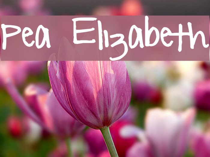 Pea Elizabeth Font examples