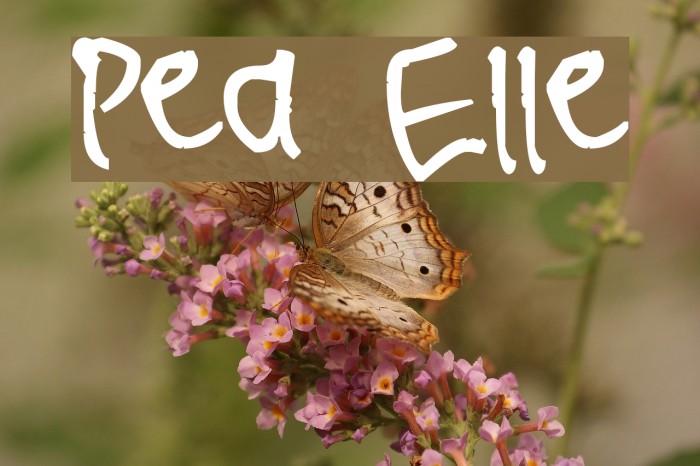 Pea Elle Font examples