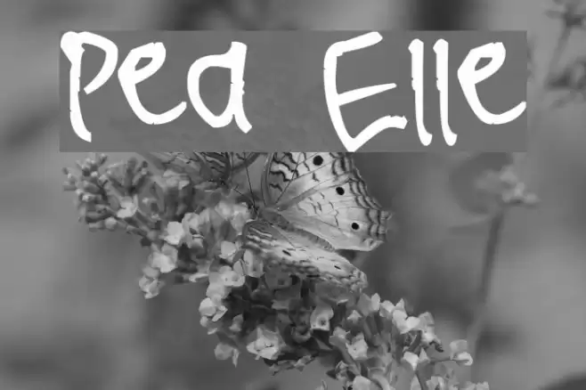 Pea Elle Font examples