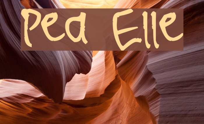 Pea Elle Font examples