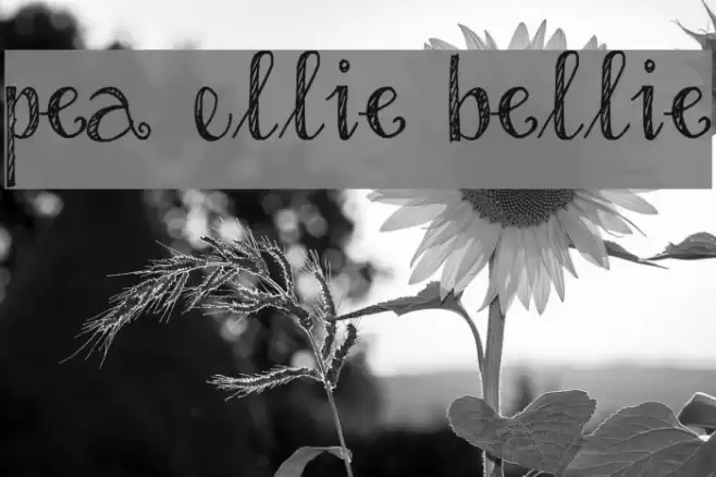 Pea Ellie Bellie Font examples