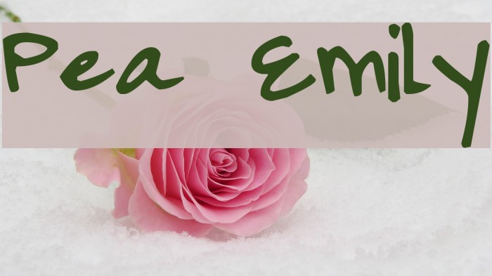 Pea Emily Font examples