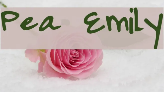 Pea Emily Example 1