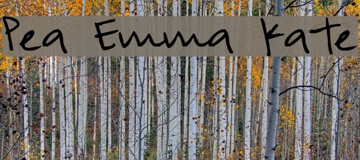 Pea Emma Kate Font examples