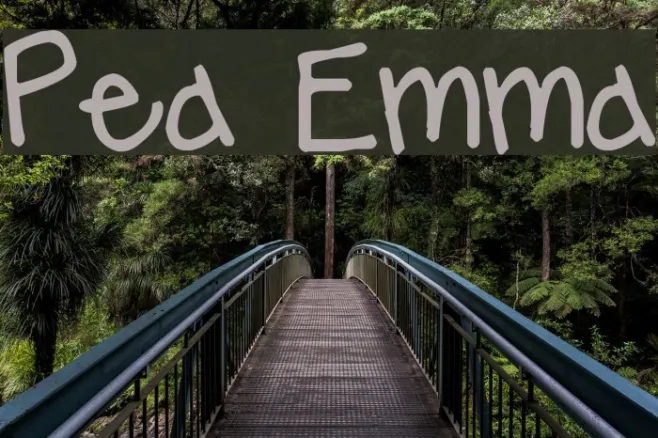 Pea Emma Example 2