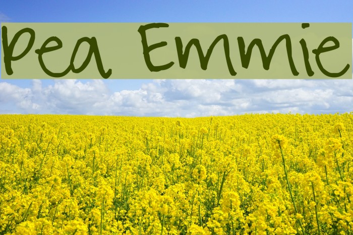 Pea Emmie Font examples