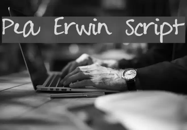 Pea Erwin Script Font examples