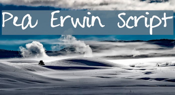 Pea Erwin Script Font examples