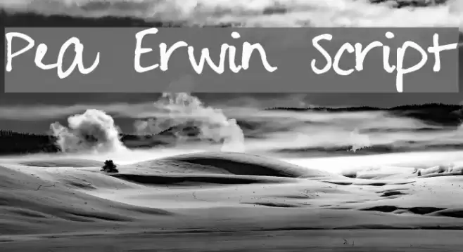Pea Erwin Script Font examples