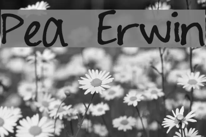 Pea Erwin Font examples