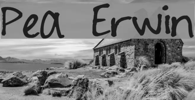 Pea Erwin Font examples