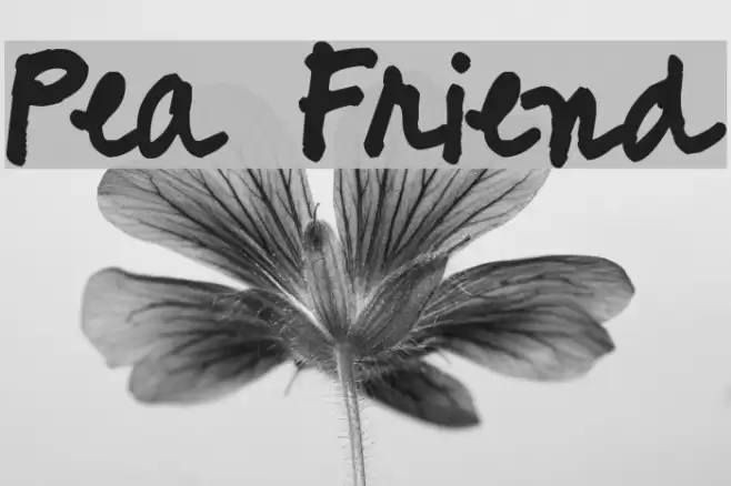 Pea Friend Font examples