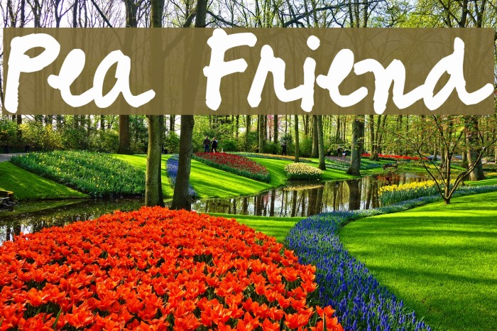 Pea Friend Font examples