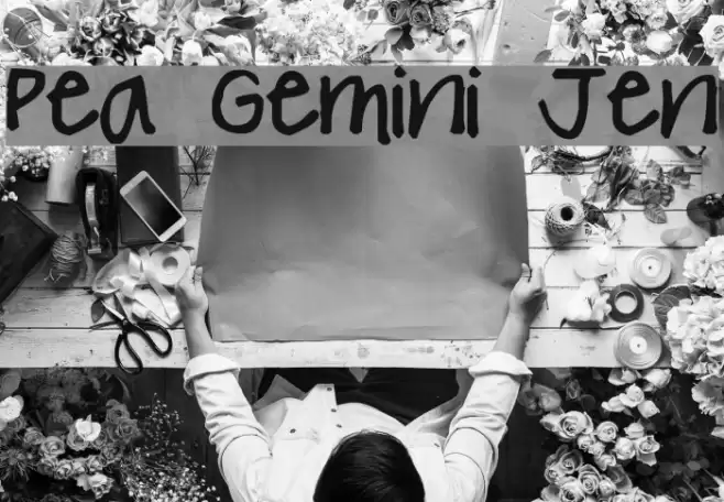 Pea Gemini Jen Font examples