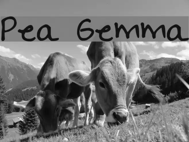 Pea Gemma Font examples
