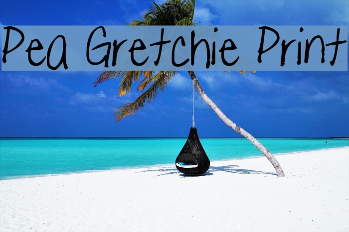 Pea Gretchie Print Font examples