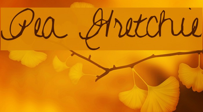 Pea Gretchie Font examples