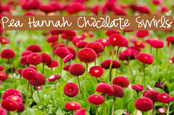 Pea Hannah Chocolate Swirls Font examples