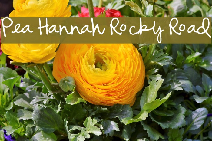 Pea Hannah Rocky Road Font examples