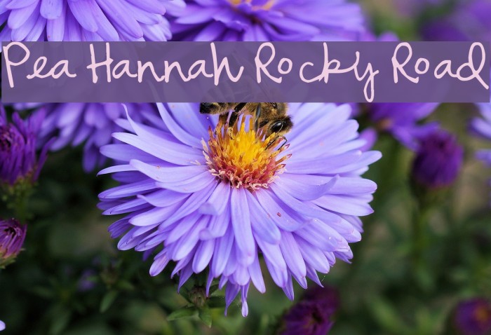 Pea Hannah Rocky Road Font examples