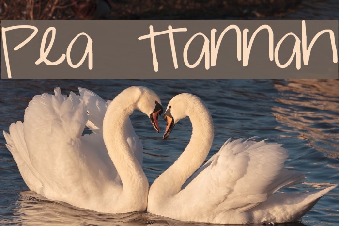 Pea Hannah Example 3