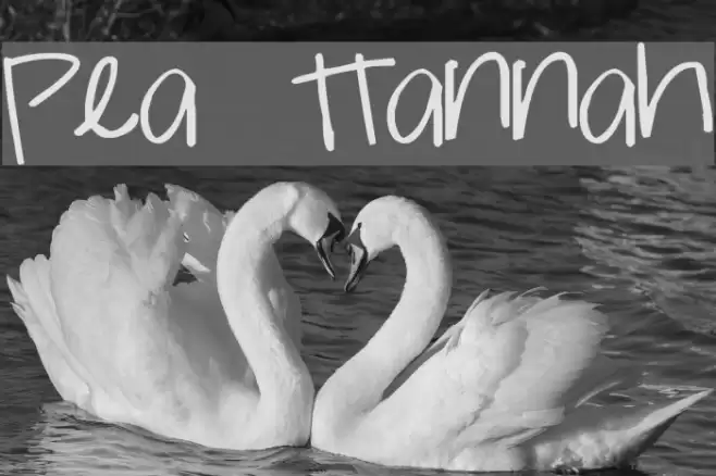 Pea Hannah Font examples