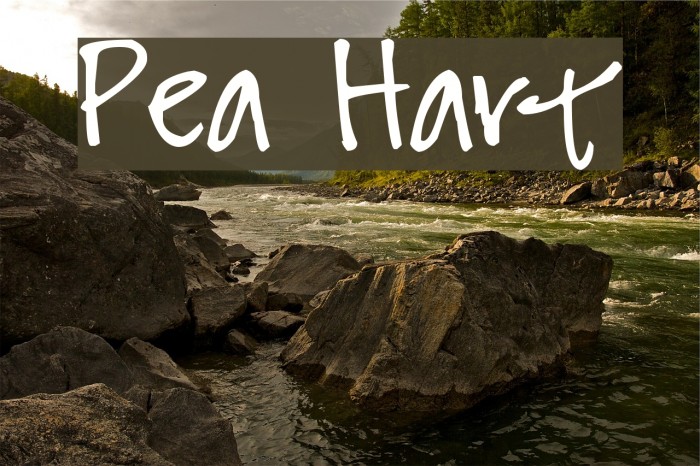 Pea Hart Font examples