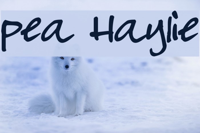 Pea Haylie Font examples