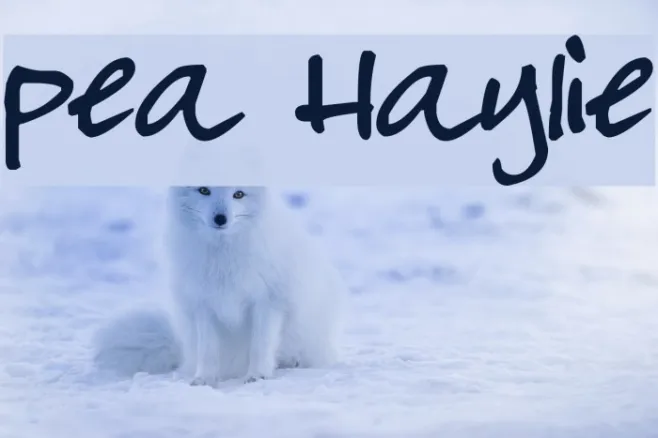 Pea Haylie Example 3