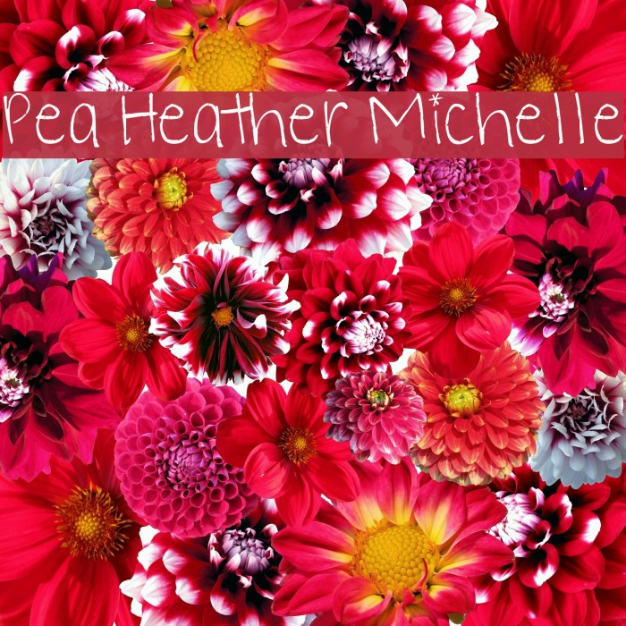 Pea Heather Michelle Font examples