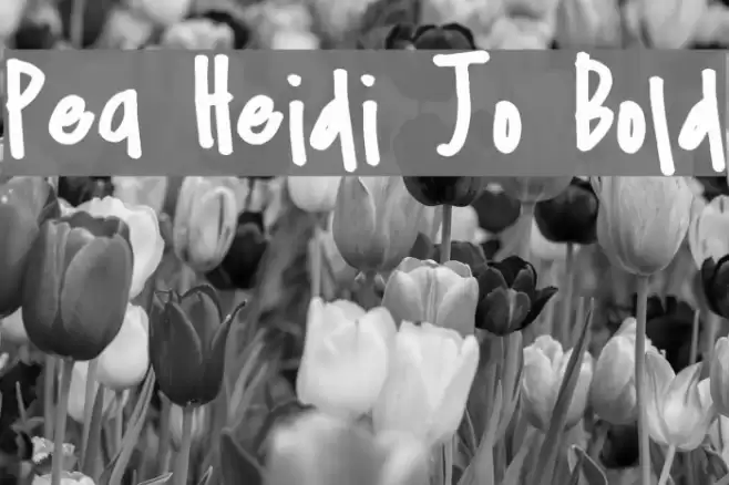 Pea Heidi Jo Bold Font examples
