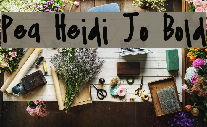 Pea Heidi Jo Bold Font examples