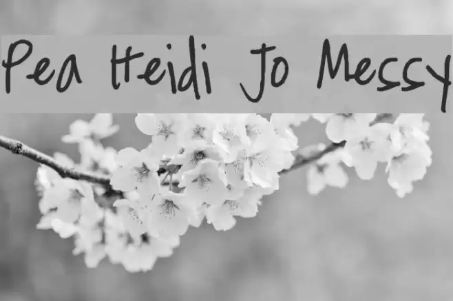 Pea Heidi Jo Messy Font examples