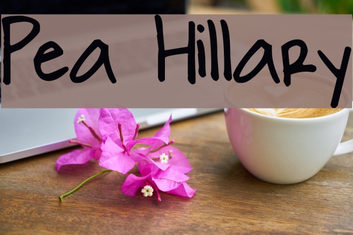 Pea Hillary Font examples
