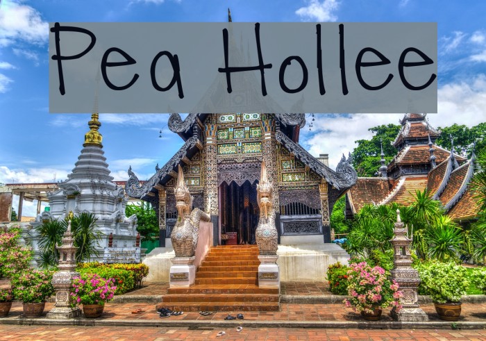 Pea Hollee Example 1